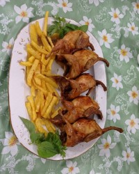 بلدرچین کبابی در فر خورشت قیمه