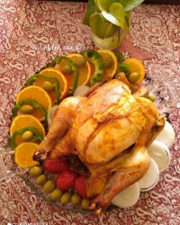 مرغ شکم پر پرتقالی