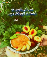 ترشک هلو و آلو