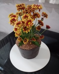 کیک گلدونی واسه همسر