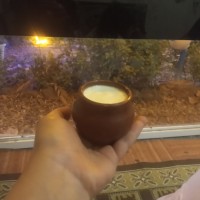 ماست محلی کوزه ای