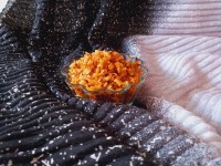 پیاز داغ رژیمی