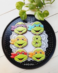 کوکی لاک پشت های نینجا