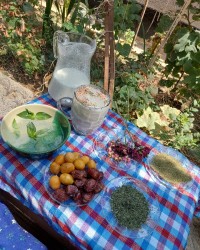 دوغ ونعناع خونگی