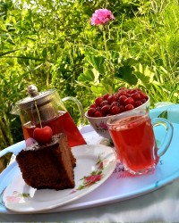 چای آلبالو چالش عکس تابستانی