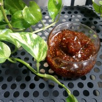 ★مـربـای انجیــــر★