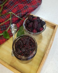 مربای شاتوت