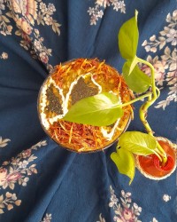 آش پشت پای همسرعزیزم که کربلا رفتن