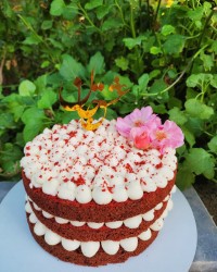 کیک ردولوت با کرم پنیری