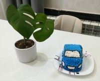 کیک تولد 4سالگی گل پسرم آقا سامیار