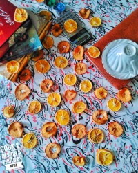 میوه خشک