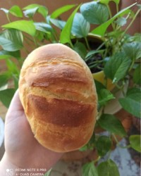 نان هایدی (ورق بزنید)