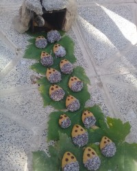 ♤ شیرینی جوجه تیغی ♤