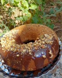 کیک شیفون کنجدی