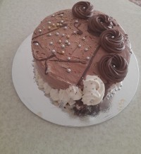 اولین خامه کشی