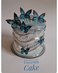 مینی کیک وزن ۴۰۰ گرم