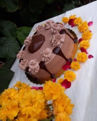 °♡°○کیک اسفنجی○°♡°