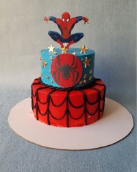 مردعنکبوتی