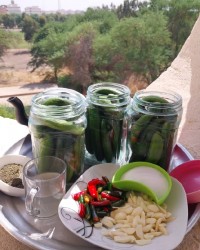 خیار شور