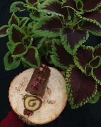 رولت حلوا دو رنگ