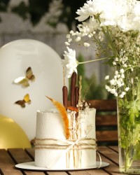 2سالگی نفسم