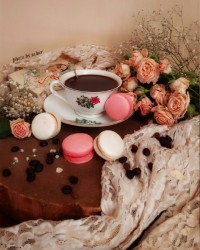 قهوه عربی و ماکارون