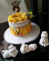 اینم ازکیک تولد آبجی بزرگه ?