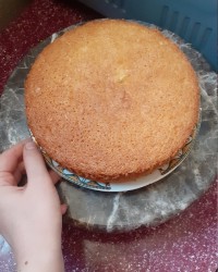 کیک ویژه پذیرایی