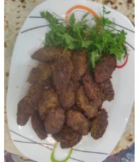 شامی شمالی ها