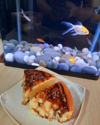 بزن لایکوووو