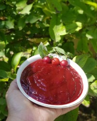 رب آلوچه جنگلی