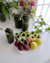 نمک سبز یادلار (درار)