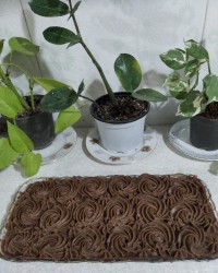 بفرمایید حلوا