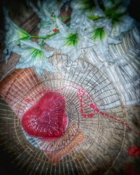 ژله ❤️❤️❤️ چالش عکس گل