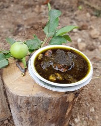 قورمه سبزی تو دل طبیعت