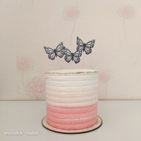 مینی کیک دخترونه