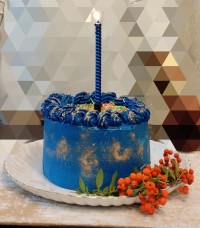 کیک تولدم دست پخت خودم