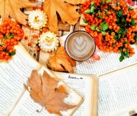 شیرینی تارت نارگیلی