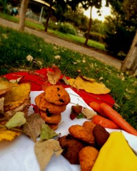 چالش_عکس_پاییزی