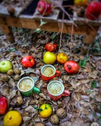 چالش عکس پاییزی کاپوچینو تقدیم به دوستداران پاییز