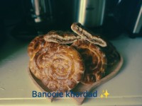 کلوچه فومن 1401/7/29