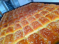 دانمارکی پزون امروز