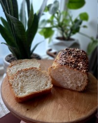 نان تست بدون تخم مرغ ?