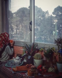 کیک دارچینی (ورق بزنید)