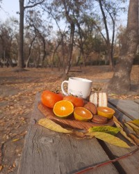 عصرانه پاییزی