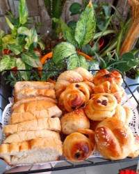 نون تست بدون تخم مرغ