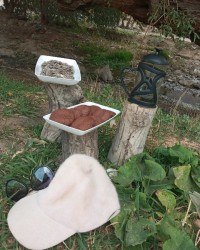 شیرینی دانه قهوه