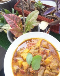 بادمجان بز واش عکسها متفاوته