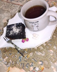 کیک خیس شکلاتی