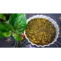 ترش تره گیلانی♡